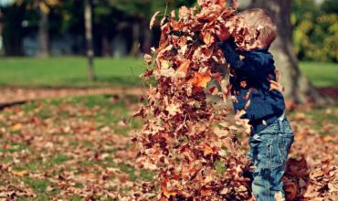 Little boy playing with leaves