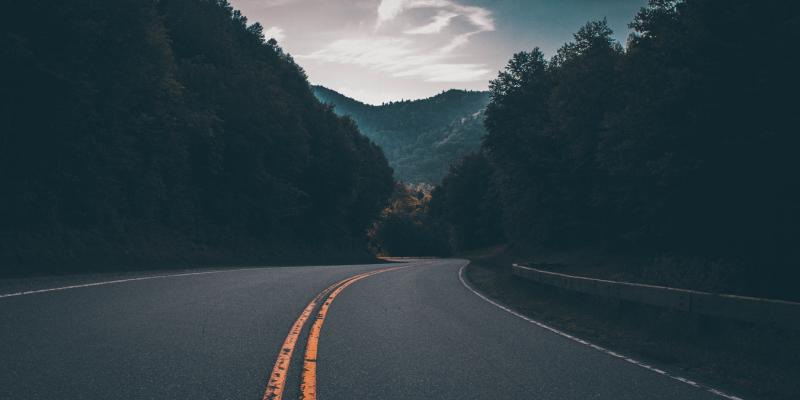 Why Do You Need a Real Estate Agent? a road and trees
