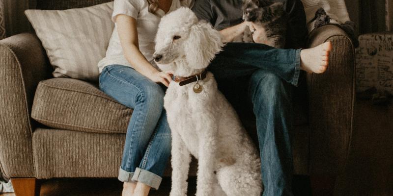 Waiving an Inspection? Here Are the Risks family in their home with a poodle