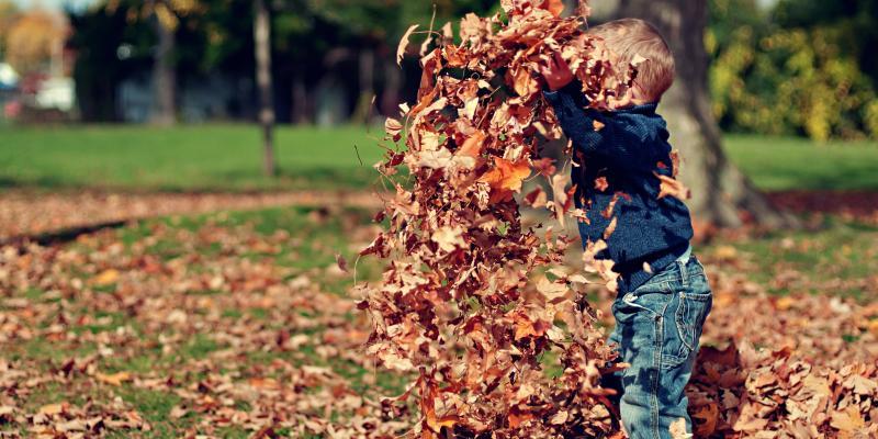 Little boy playing with leaves